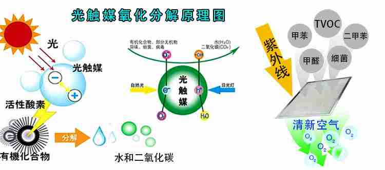 除甲醛常用方法，專家告訴你哪些有用