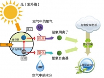 冷觸媒，暗觸媒，風觸媒是怎樣的甲醛治理方式？
