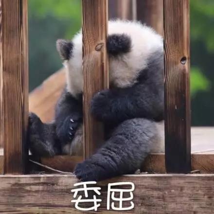 別大意！七大除甲醛“誤區(qū)”，信了你反而會(huì)生??！通風(fēng)、綠植、活性炭、熏蒸……你中招了嗎？