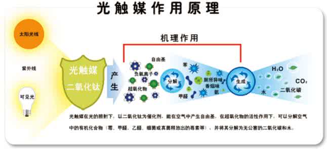 如何去除車內甲醛？